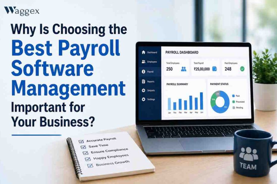 Best Payroll Software Management Important for Your Business